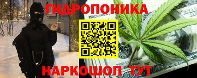 apvp Канаш