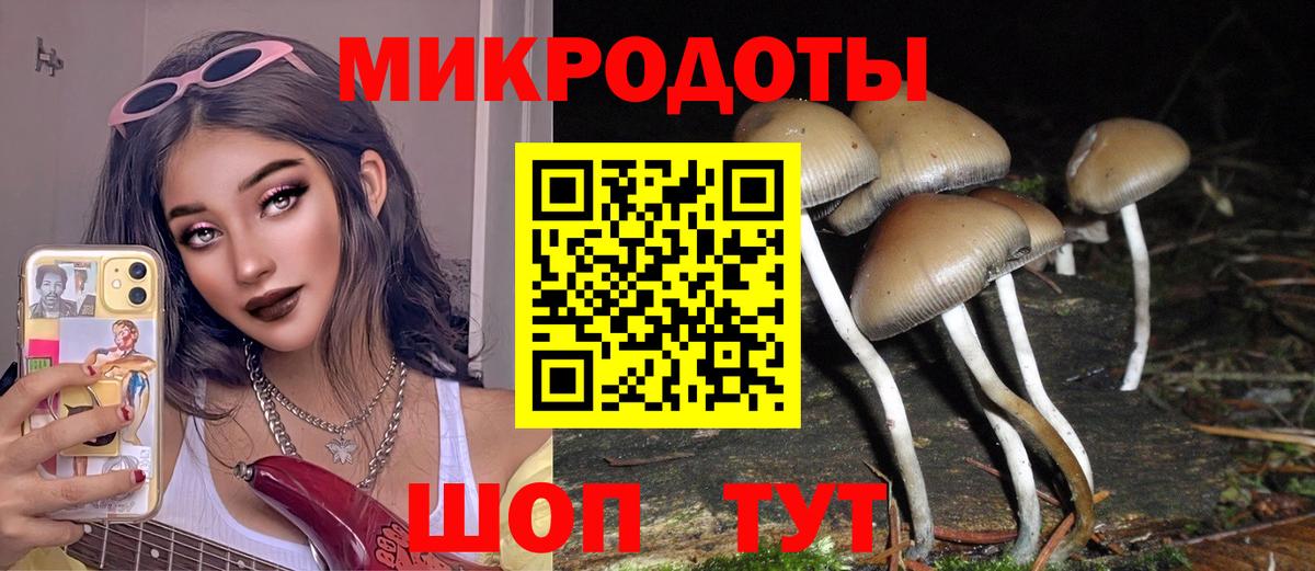 Краснодар  Псилоцибиновые грибы Cubensis  Вход с VPN  Галлюциногенные грибы GOLDEN TEACHER 