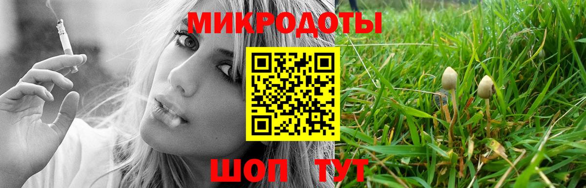 Псилоцибиновые грибы Psilocybe Краснодар